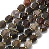 Natural Petrified Wood Beads Strands LS-G-I376-A30-01-1