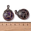 Natural Amethyst Pendants G-A241-02R-21-3