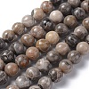 Natural Fossil Coral Beads Strands G-G212-10mm-31-1