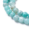 Natural Dyed Agate Imitation Turquoise Beads Strands G-P425-02A-12mm-3