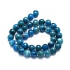 Natural Apatite Beads Strands G-K245-A03-05-2