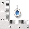925 Sterling Silver Cubic Zirconia Oval Charms STER-S006-01S-C-3