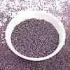 MIYUKI Round Rocailles Beads SEED-G009-RR3206-2