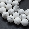 Natural Howlite Beads Strands G-D0013-65-3