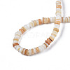 Natural Freshwater Shell Beads Strands SHEL-S278-067G-4
