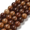 Natural Gemstone Beads Strands G-H045-A01-6MM-2