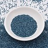 MIYUKI Delica Beads X-SEED-J020-DB2384-2