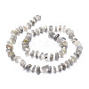 Natural Labradorite Beads Strands G-E569-J08-2