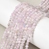 Natural Kunzite Beads Strands G-G343-B03-3mm-1
