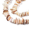 Natural Freshwater Shell Beads Strands SHEL-S278-071D-3