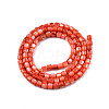 Natural Freshwater Shell Beads Strands SHEL-N003-33-A06-2