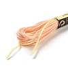 10 Skeins 6-Ply Polyester Embroidery Floss OCOR-K006-A68-2