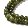 Natural Gemstone Beads Z0NCT011-4