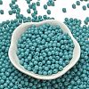 Opaque Colours Glass Seed Beads SEED-C001-02B-16-2