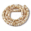 Natural Trochid Shell/Trochus Shell Beads Strands SSHEL-S266-016B-02-2