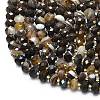 Natural Banded Agate Beads Strands G-P573-A09-01-3