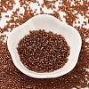 Baking Paint Glass Seed Beads SEED-S042-18B-01-2