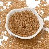 Transparent Colours Glass Seed Beads SEED-F006-03A-10-2