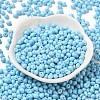 6/0 Opaque Baking Paint Glass Seed Beads SEED-M012-02A-13-2