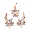 Brass Micro Pave Cubic Zirconia Charms ZIRC-F111-11RG-1