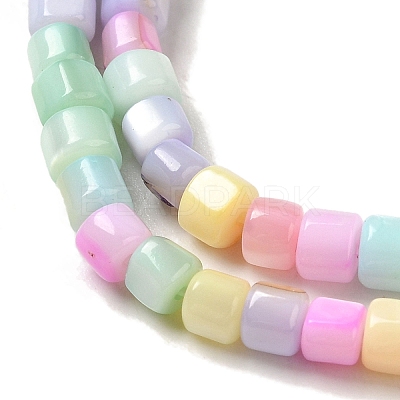 Rainbow Color Dyed Natural Freshwater Shell Beads Strands X1-SHEL-G018-02D-1