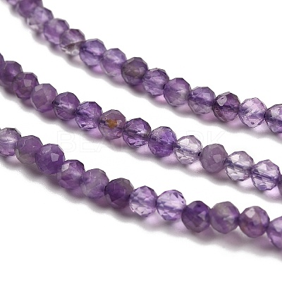 Natural Amethyst Beads Strands G-K373-B03-03-1