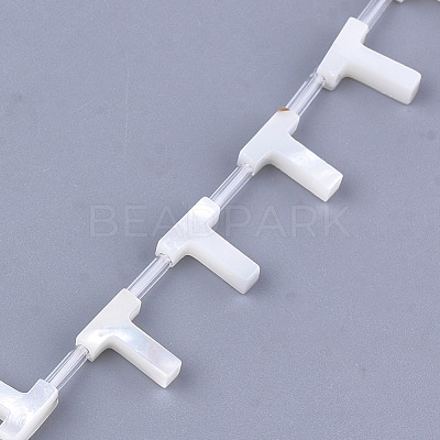 Natural Sea Shell Beads SHEL-T012-60T-1