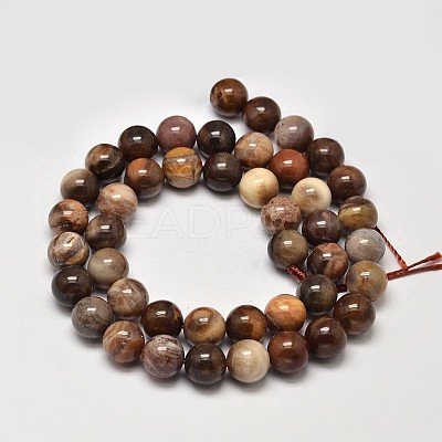 Natural Petrified Wood Round Bead Strands X-G-F266-08-8mm-1