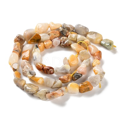 Natural Crazy Agate Beads Strands G-P497-01C-08-1