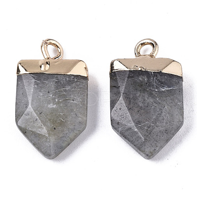 Natural Labradorite Pointed Pendants G-N326-34C-1