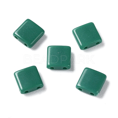 Opaque Acrylic Slide Charms OACR-Z010-01P-1