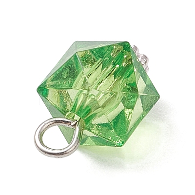 Transparent Acrylic Pendants PALLOY-JF04258-02-1
