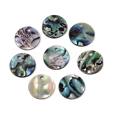 Natural Paua Shell Disc Charms SSHEL-N040-19A-1