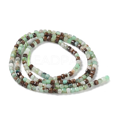 Natural Chrysoprase Beads Strands X-G-P514-B03-01-1