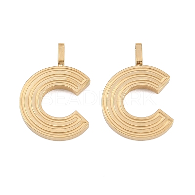 304 Stainless Steel Pendants STAS-L022-589C-1