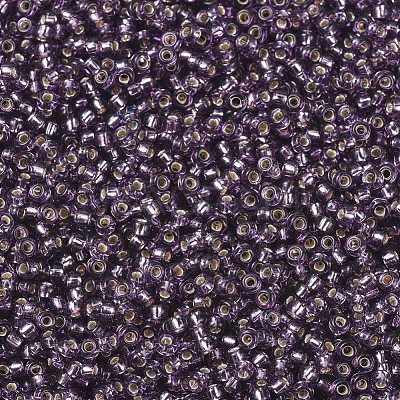 MIYUKI Round Rocailles Beads X-SEED-G007-RR0024-1