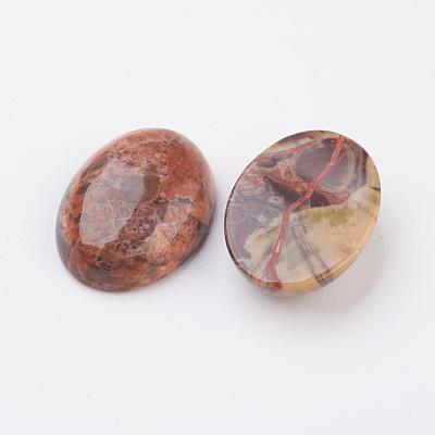 Natural Multi-Color Agate Flat Back Cabochons G-G741-22x30mm-08-1