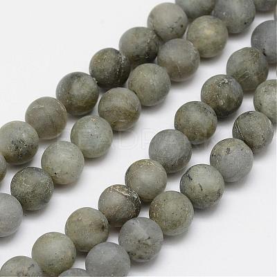 Natural Labradorite Frosted Bead Strands G-O155-04B-6mm-1