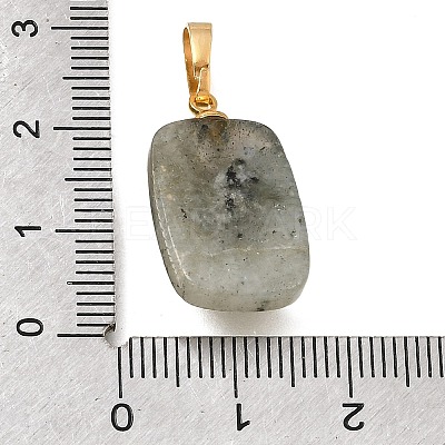 Natural Labradorite Pendants G-T151-02B-1