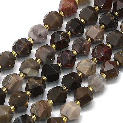 Natural Petrified Wood Beads Strands LS-G-I376-A30-01-1