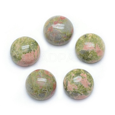 Natural Unakite Cabochons X-G-P393-R31-10mm-1