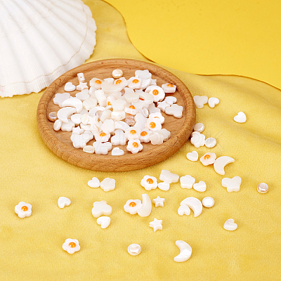 160Pcs 8 Styles Natural Freshwater Shell Beads Strands SHEL-TA0001-08-1