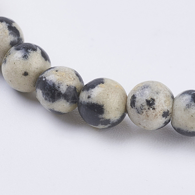 Natural Dalmation Jasper Beads Strands G-G515-4mm-06-1
