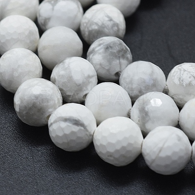 Natural Howlite Beads Strands G-D0013-65-1