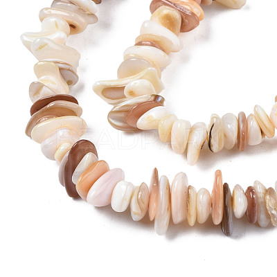 Natural Freshwater Shell Beads Strands SHEL-S278-071D-1