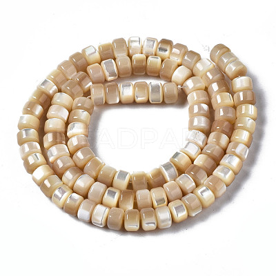 Natural Trochid Shell/Trochus Shell Beads Strands SSHEL-S266-016B-02-1