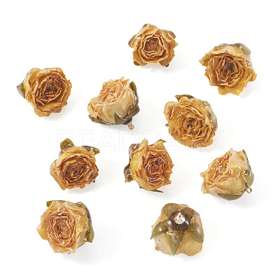 10Pcs Preserved Rose Pendants KY-TA0001-59D-1