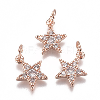 Brass Micro Pave Cubic Zirconia Charms ZIRC-F111-11RG-1