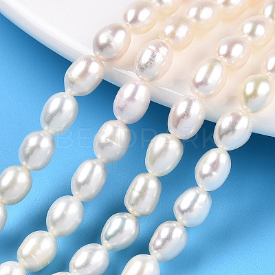 Natural Cultured Freshwater Pearl Beads Strands PEAR-N012-05M-1
