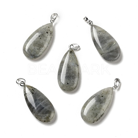 Natural Labradorite Pendants G-P474-01P-07-1